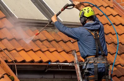 Démoussage et hydrofuge de toiture à Saint-André-de-Vézines